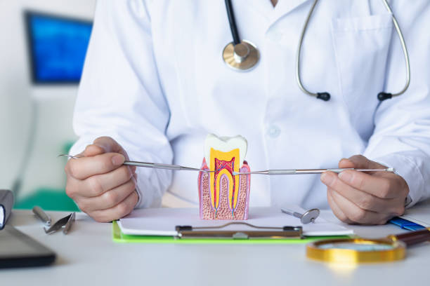 Best Emergency Root Canal Treatment in Oswego, IL